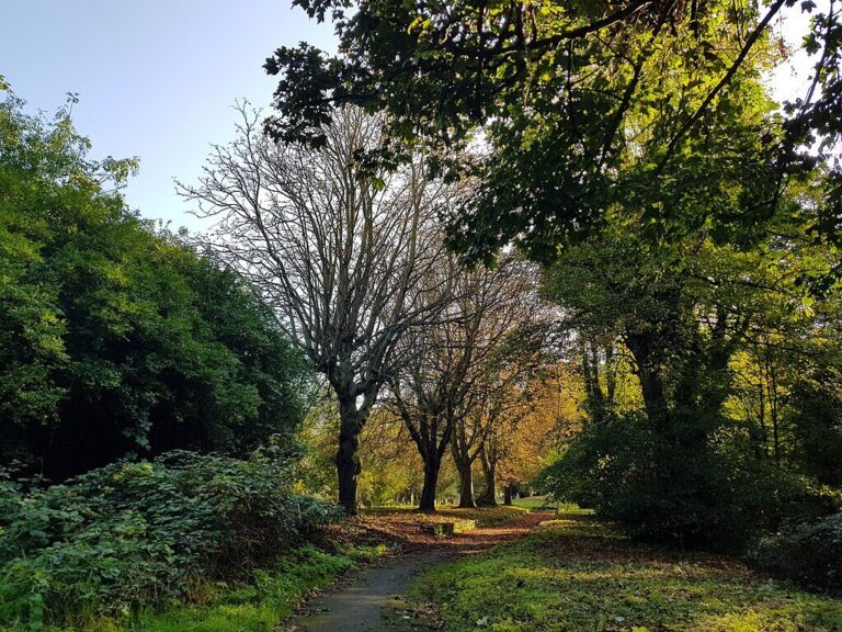 1024px-Brockley_&_Ladywell_Cemeteries_20191022_142829_(48945645973)