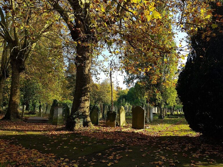 1024px-Brockley_&_Ladywell_Cemeteries_20191022_144042_(48944283511)