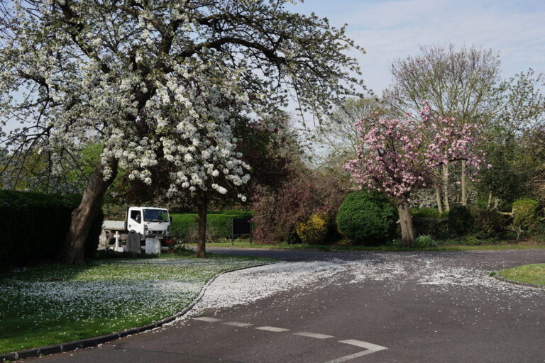 geograph-6442419-by-Peter-Trimming