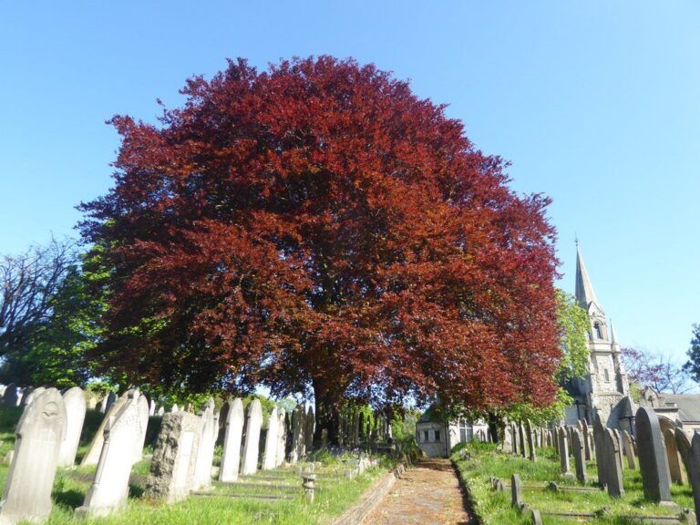 geograph-6455590-by-Marathon