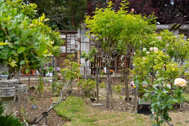 Streatham Park Cemetery (6)_Compressed
