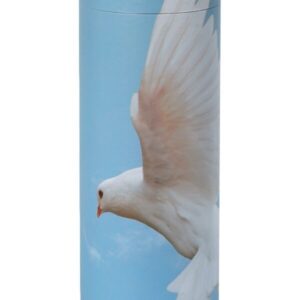 Dove