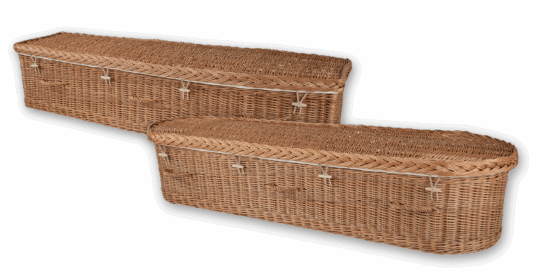 Chestnut Willow (Traditional / Round)