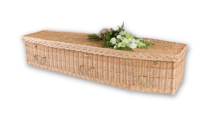 Golden Willow (Traditional / Round)